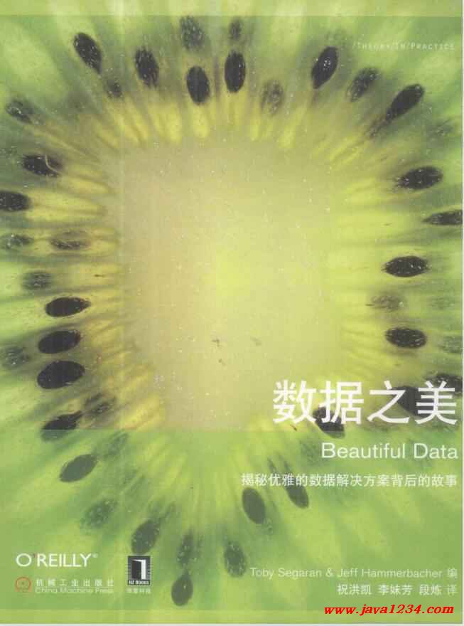 鏁版嵁涔嬬編 PDF 涓嬭澆 鍥?