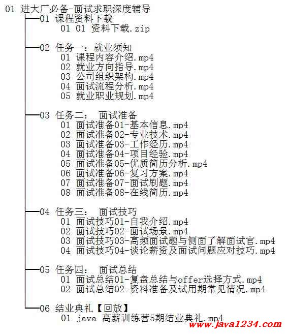 進(jìn)大廠必備-面試求職深度輔導(dǎo) 視頻教程 下載 圖1