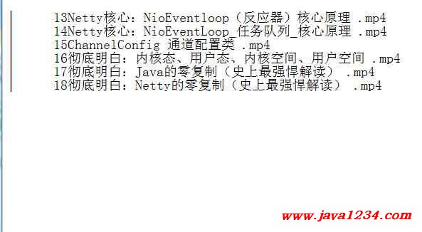 Netty核心原理與底層知識(shí) 視頻教程 下載 圖1